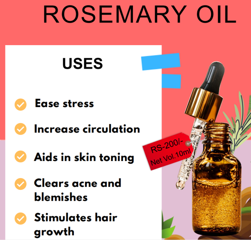 Picture of HERBOVIVE ESSENTIAL OIL ROSEMARY 10ML